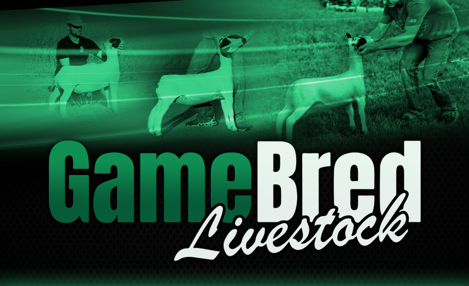 GameBred Livestock